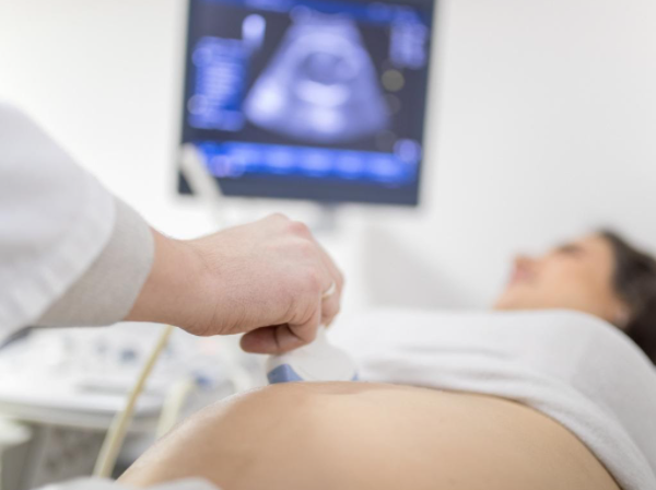 Fetal Development Stages