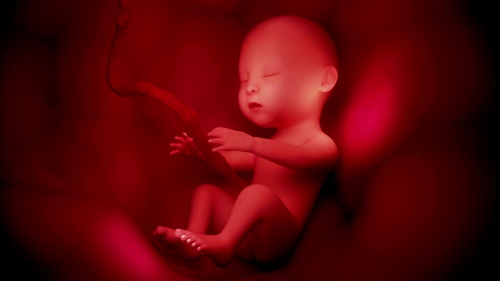 Unborn Babies