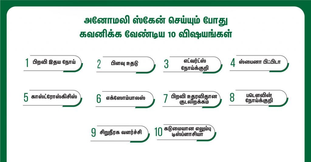 Fetal Anomaly Scan 10 Tips