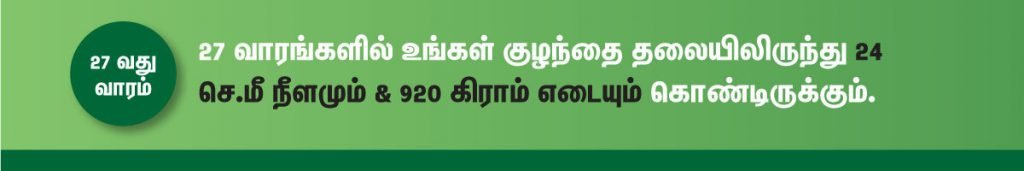 1 முதல் 40 வாரம் கர்ப்ப அறிகுறிகள் எப்படி இருக்கும்? 47 27 week fetus size