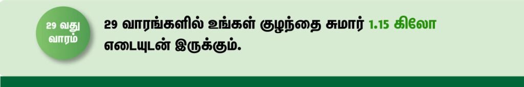 1 முதல் 40 வாரம் கர்ப்ப அறிகுறிகள் எப்படி இருக்கும்? 49 29 week fetus size