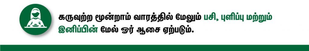 1 முதல் 40 வாரம் கர்ப்ப அறிகுறிகள் எப்படி இருக்கும்? 4 3 week pregnancy symptoms