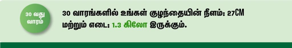 1 முதல் 40 வாரம் கர்ப்ப அறிகுறிகள் எப்படி இருக்கும்? 50 30 week fetus size