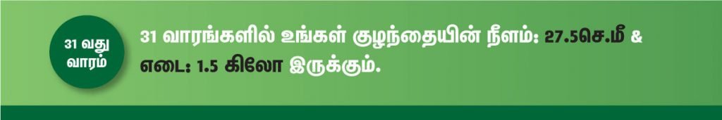 1 முதல் 40 வாரம் கர்ப்ப அறிகுறிகள் எப்படி இருக்கும்? 51 31 week fetus size