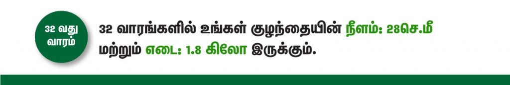 1 முதல் 40 வாரம் கர்ப்ப அறிகுறிகள் எப்படி இருக்கும்? 53 32 week fetus size