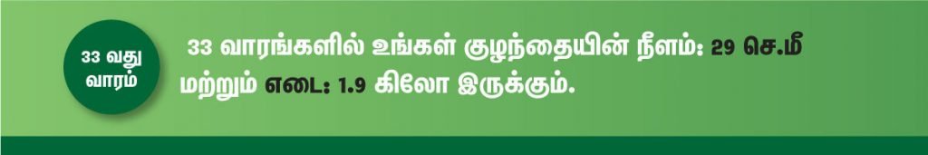 1 முதல் 40 வாரம் கர்ப்ப அறிகுறிகள் எப்படி இருக்கும்? 54 33 week fetus size