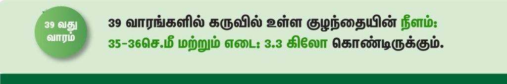 1 முதல் 40 வாரம் கர்ப்ப அறிகுறிகள் எப்படி இருக்கும்? 63 39 week fetus size