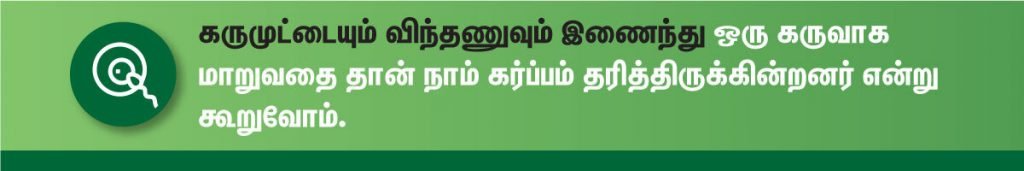 1 முதல் 40 வாரம் கர்ப்ப அறிகுறிகள் எப்படி இருக்கும்? 2 pregnancy symptoms week by week in tamil