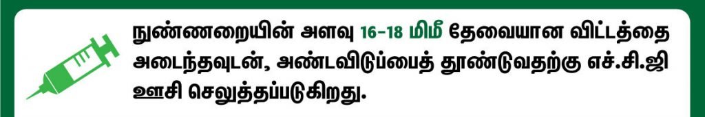 HCG Injection பயன்கள் என்ன? 8 hcg injection uses