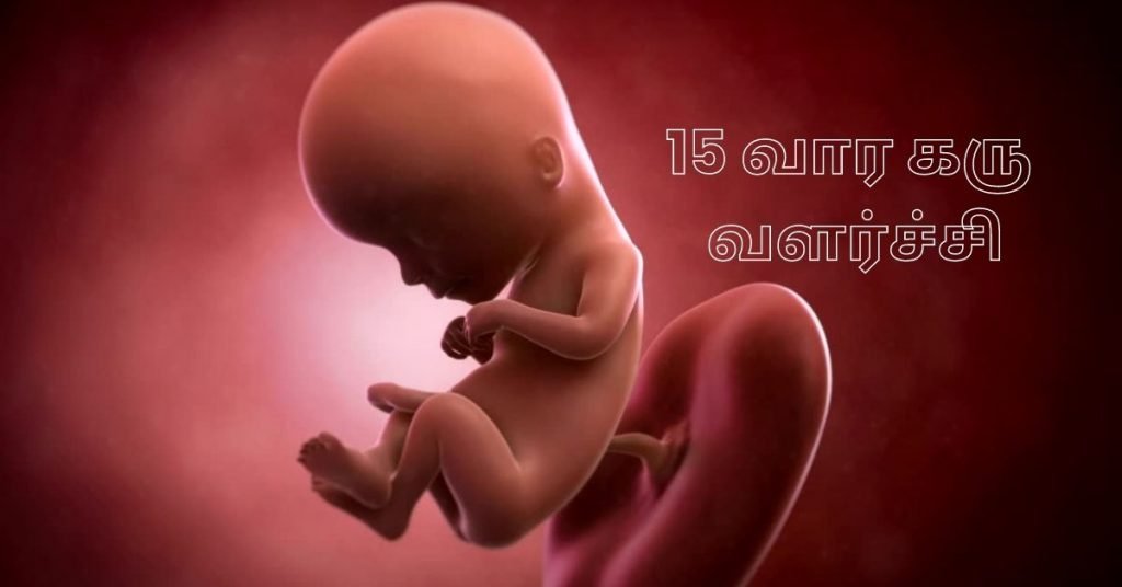 15 Weeks Fetus