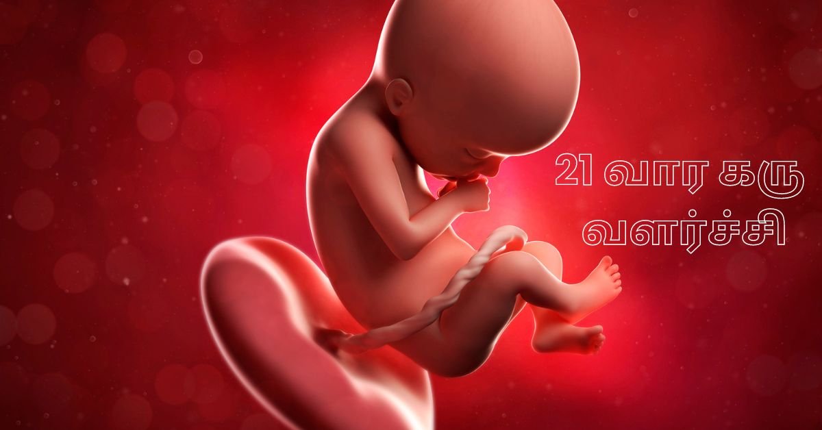 11 Weeks Fetus