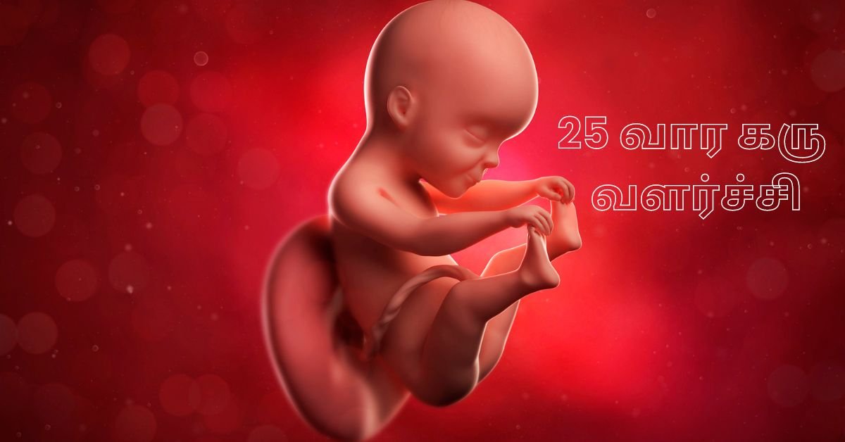 25 Weeks Fetus