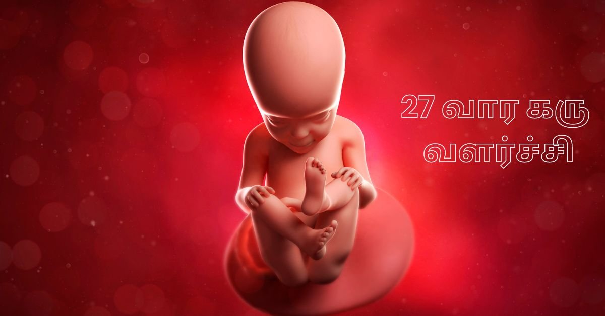 27 Weeks Fetus