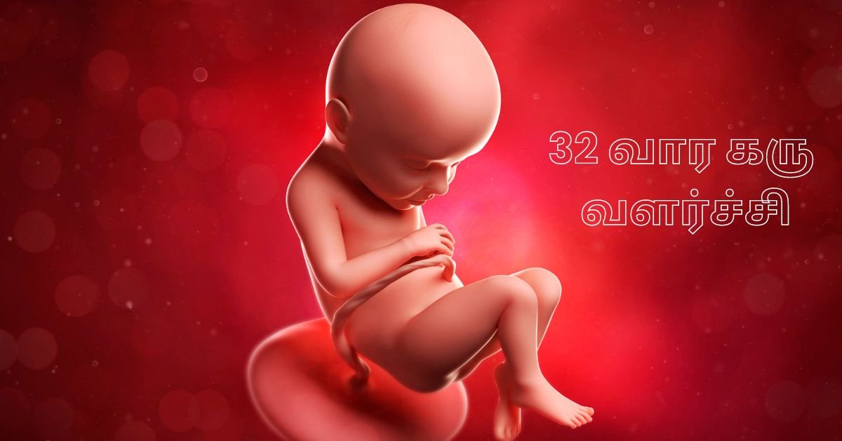 27 Weeks Fetus