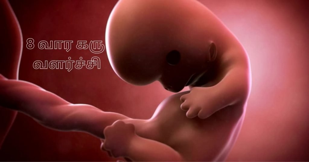 8 Weeks Fetus
