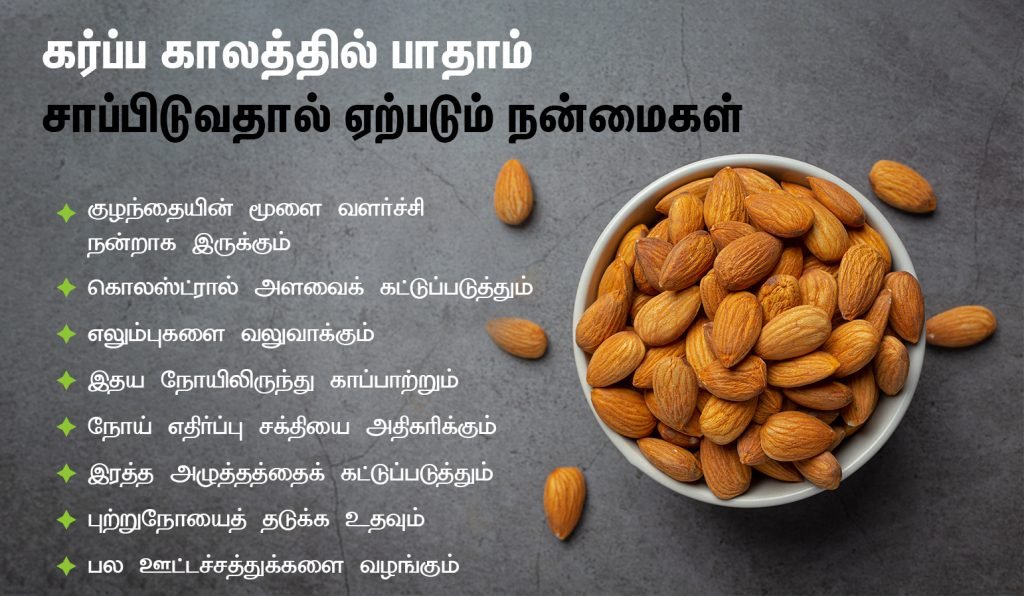 கர்ப்பிணிகள் சாப்பிட வேண்டிய நட்ஸ் மற்றும் உலர் பழங்கள்! 3 Badam