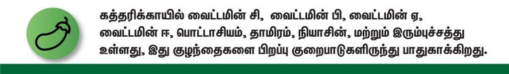 கர்ப்ப காலத்தில் சாப்பிட வேண்டிய சிறந்த காய்கறிகள் (Vegetables During Pregnancy in tamil) என்ன? 10 brinjal