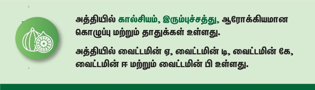 கர்ப்பிணிகள் சாப்பிட வேண்டிய முக்கிய பழங்கள்! 6 fig