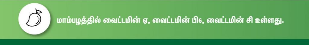 கர்ப்பிணிகள் சாப்பிட வேண்டிய முக்கிய பழங்கள்! 3 mango fruit