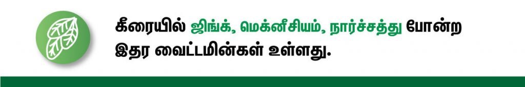 கர்ப்ப காலத்தில் சாப்பிட வேண்டிய சிறந்த காய்கறிகள் (Vegetables During Pregnancy in tamil) என்ன? 6 spinach