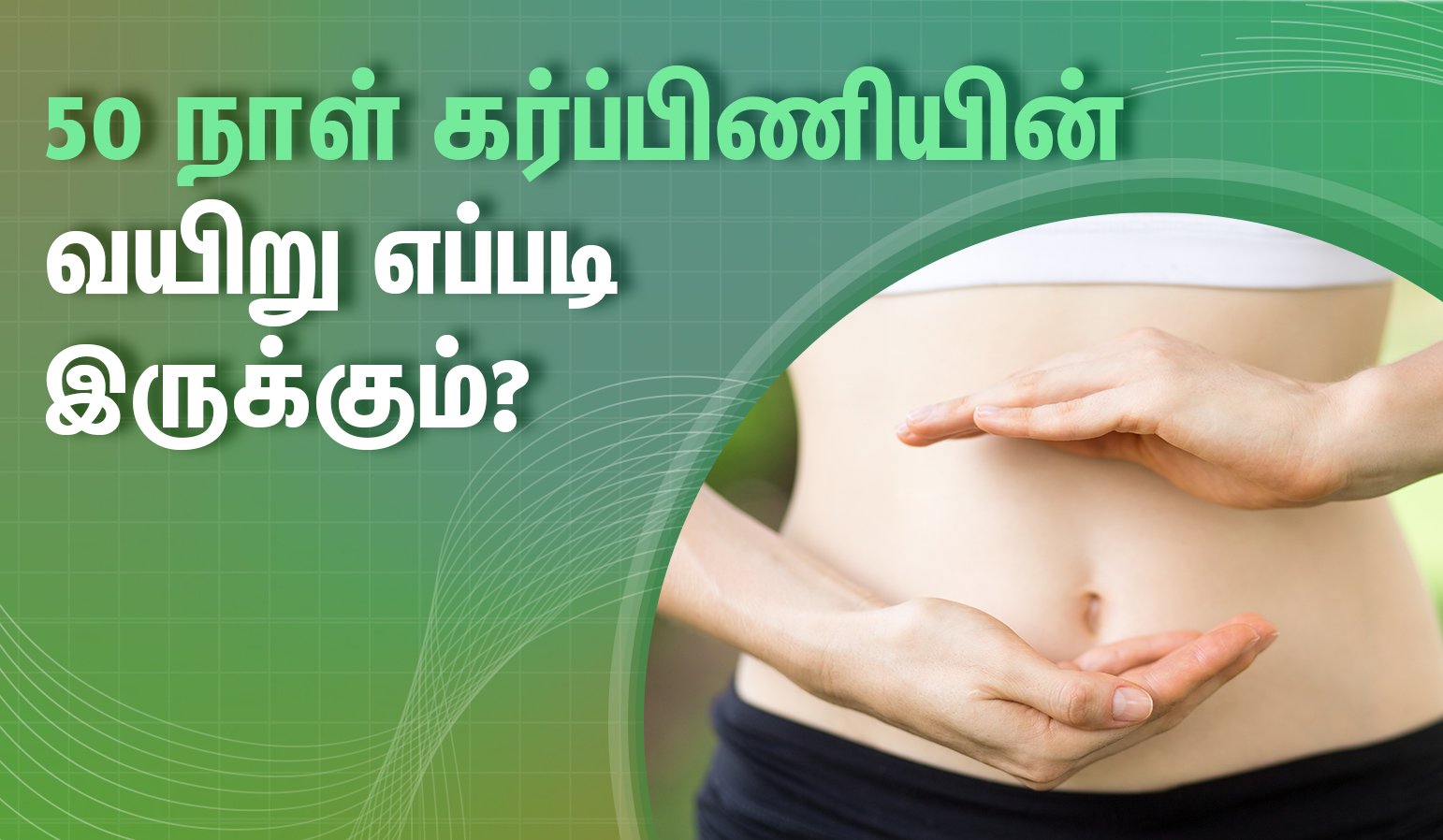 50 days pregnant women belly