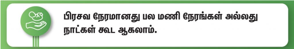 பிரசவத்தின் போது செய்யக்கூடாத 8 விஷயங்கள்! (Things to Avoid during Childbirth in Tamil) 3 pregnancy pain