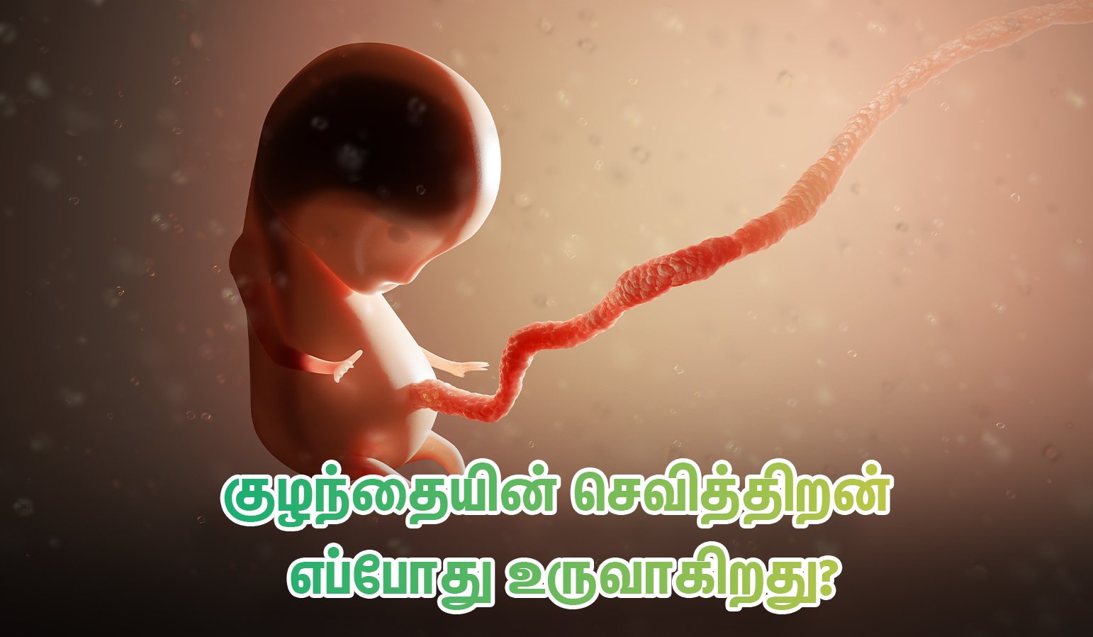 When Can a Fetus Hear