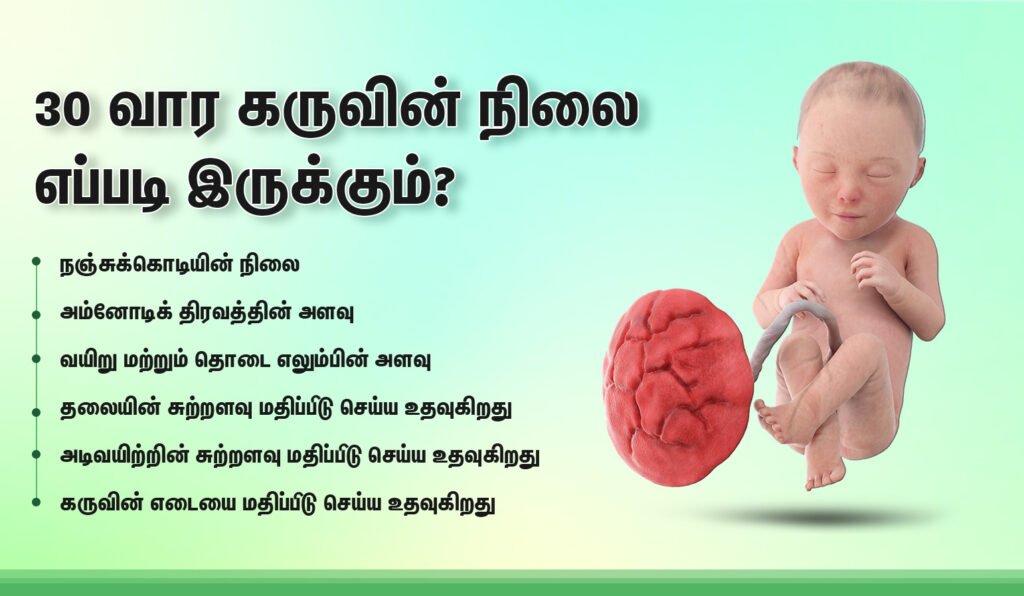 30 வார கர்ப்ப அறிகுறிகள் எப்படி இருக்கும்? 5 what position in 30 weeks baby