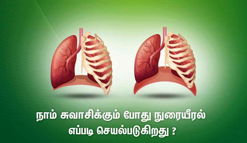 Lung function