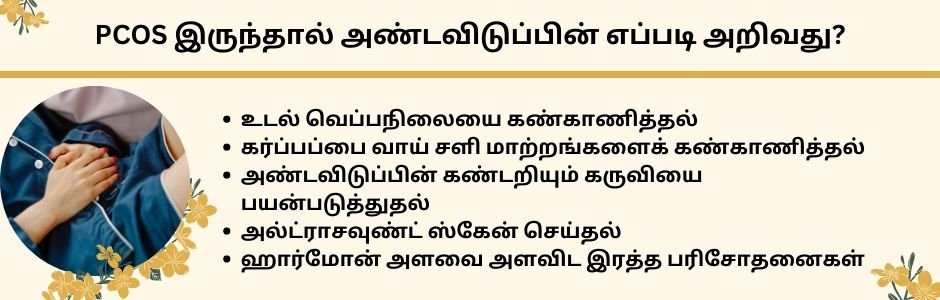 PCOS இருந்தால் கர்ப்பமாக முடியுமா? 4 Getting Pregnant with PCOS in Tamil - pcos and ovulation