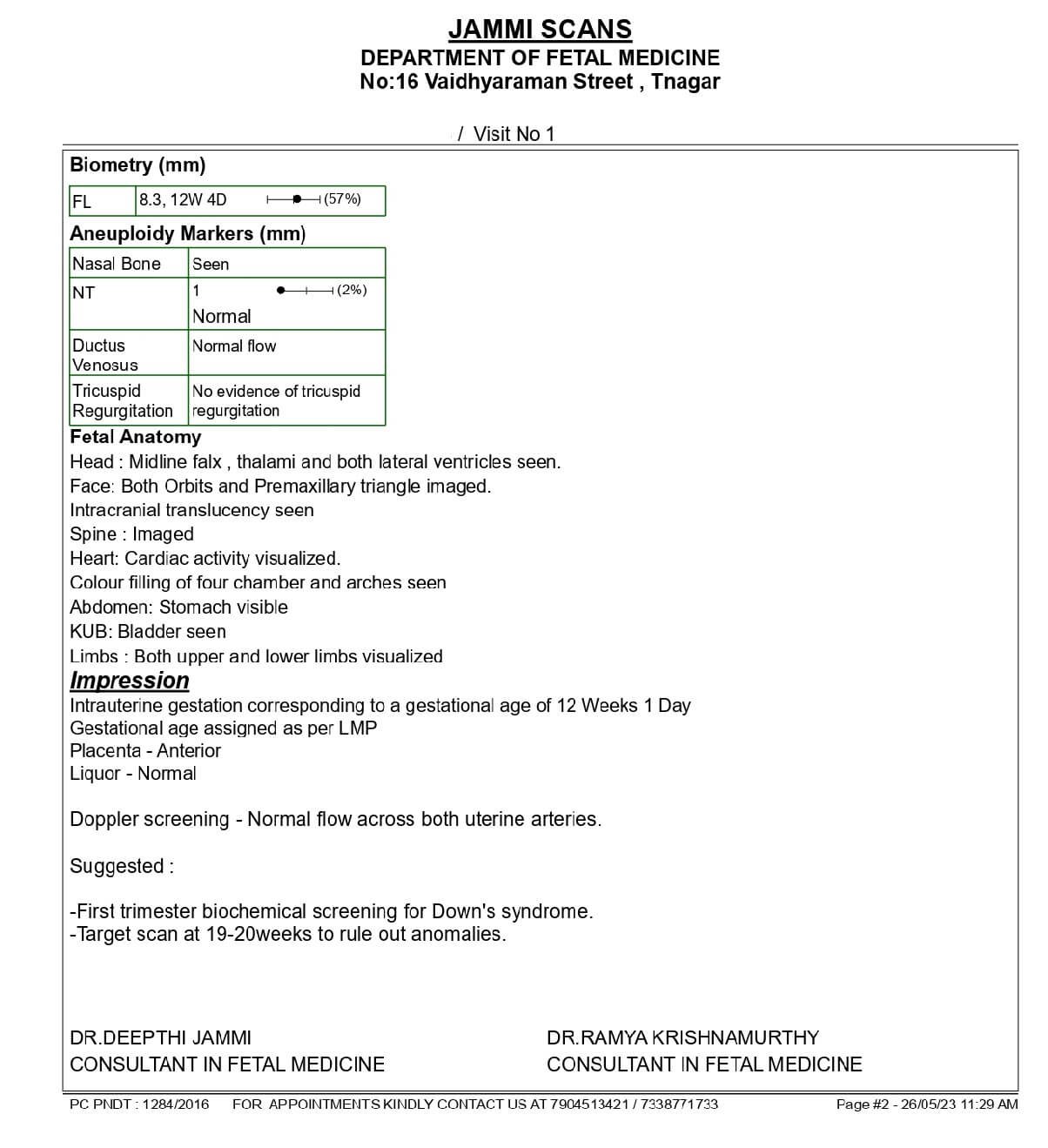 NT scan report