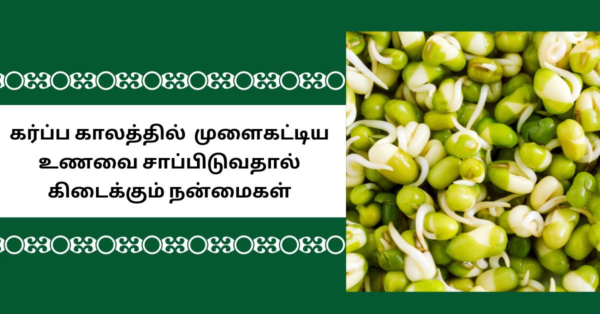 benefits of sprouts during pregnancy