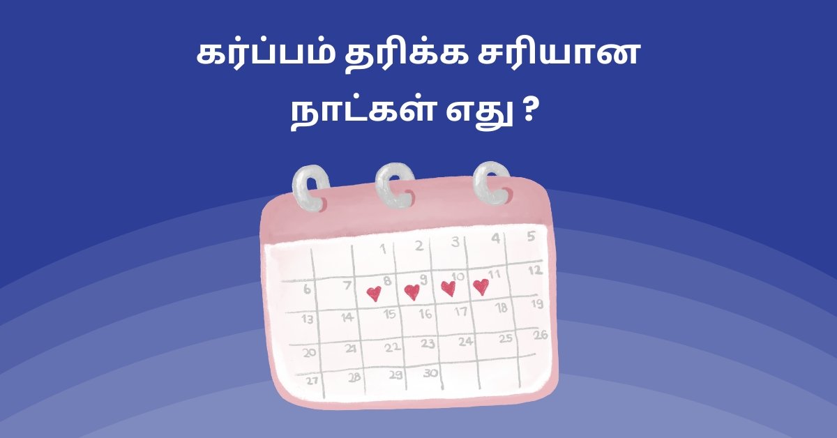 Most Fertile Days in tamil