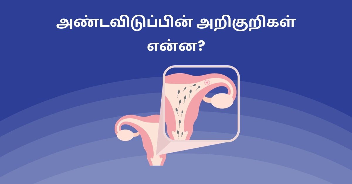 Symptoms of Ovulation