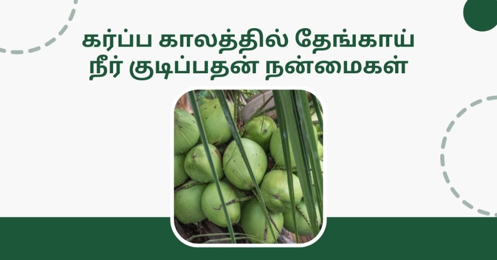 கர்ப்ப காலத்தில் இளநீர் குடிப்பதன் நன்மைகள் மற்றும் அதன் தீமைகள் என்ன? 3 Benefits of coconut water during pregnancy