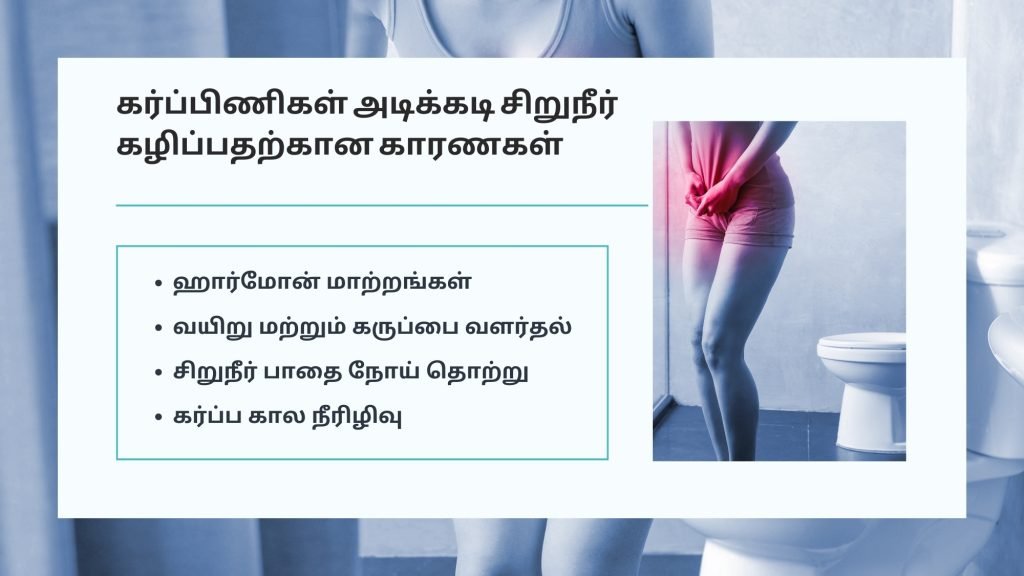 கர்ப்ப காலத்தில் அடிக்கடி சிறுநீர் கழித்தல் ஏன் நிகழ்கிறது? 2 Causes for frequent urination during pregnancy in tamil